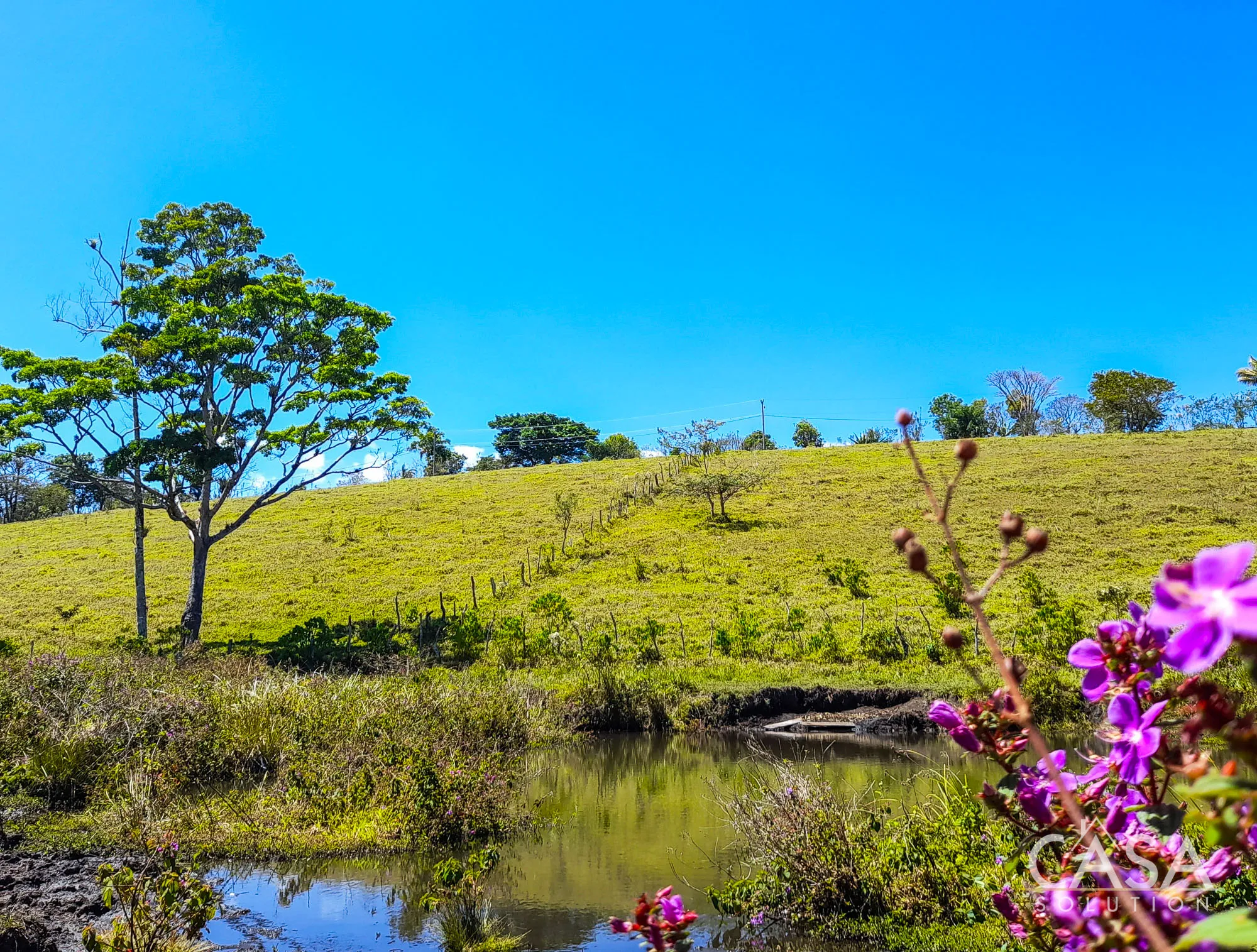 15 hectares of land for sale in Rio Sereno, Chiriquí with a year-round water spring, mountain views, and potential for agriculture or commercial use