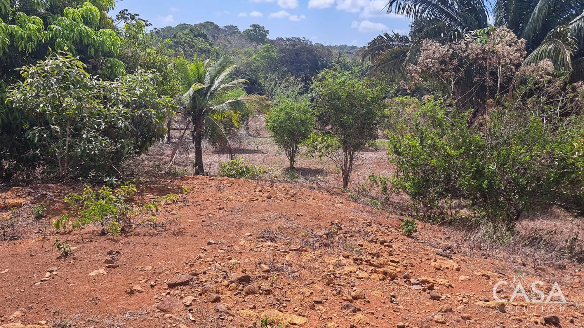 5,638 m2 land for Sale in La Gloria, Arraijan, with flat terrain, fruit trees, and easy access to the Interamerican Highway