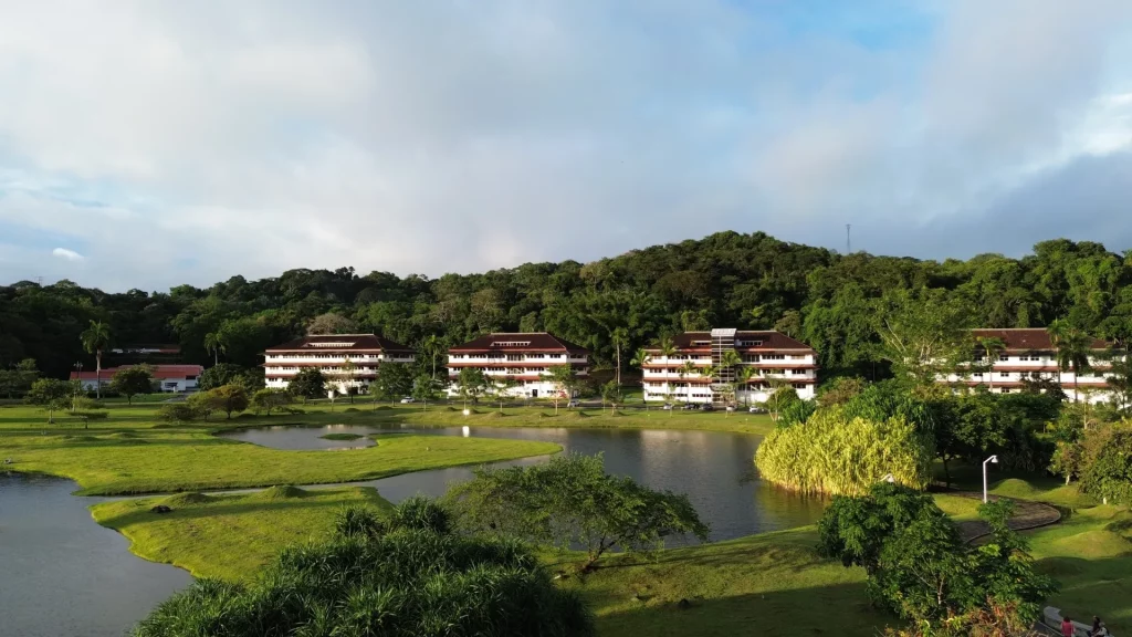 CLAYTON REAL ESTATE PANAMA 