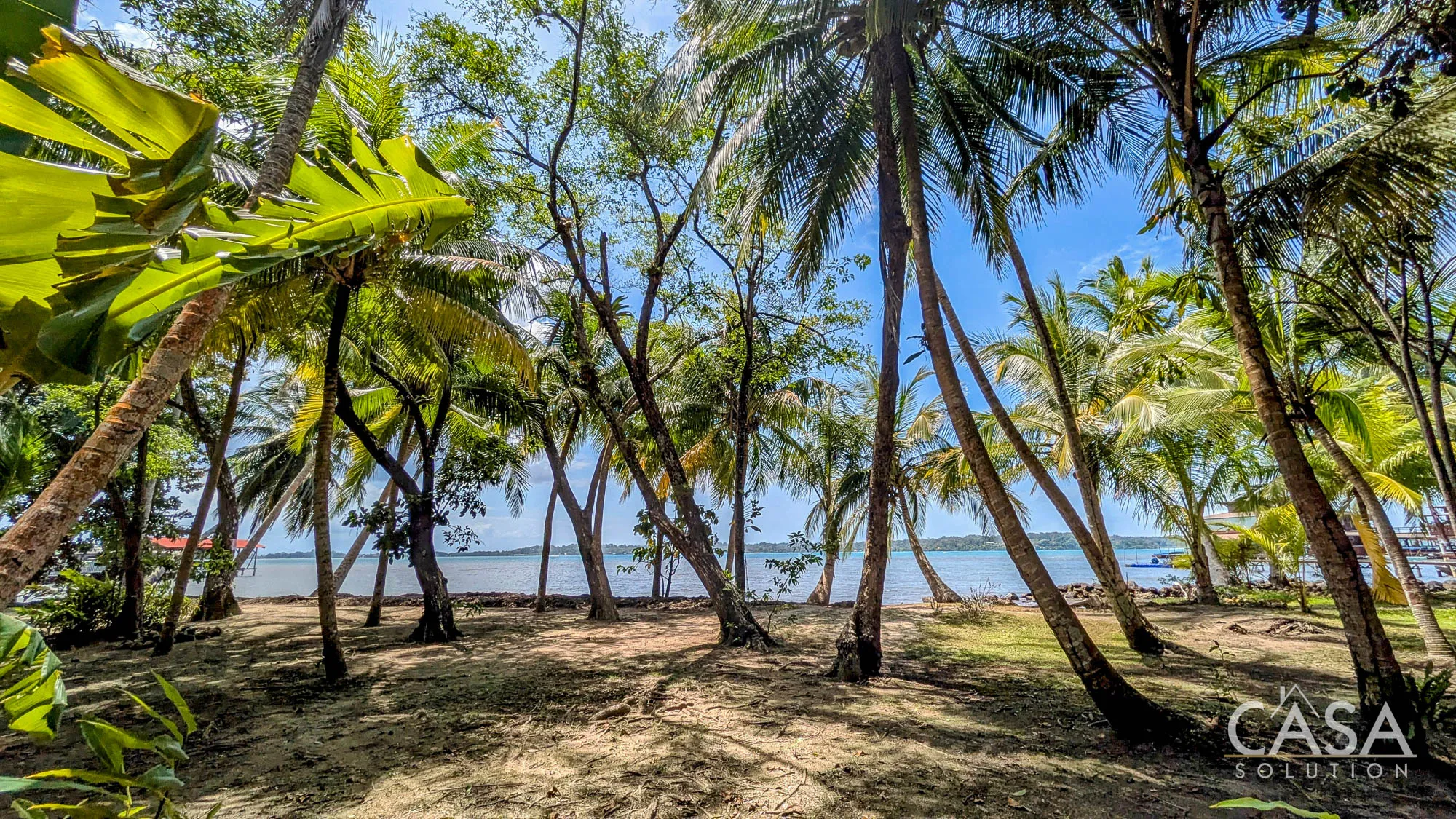 Beachfront Lots for sale in Carenero, Bocas del Toro, with ocean views, access to utilities, and close proximity to Bocas Town