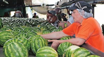 Panama’s Exports Hit Record High — What This Means for the Country’s Economy and Investors