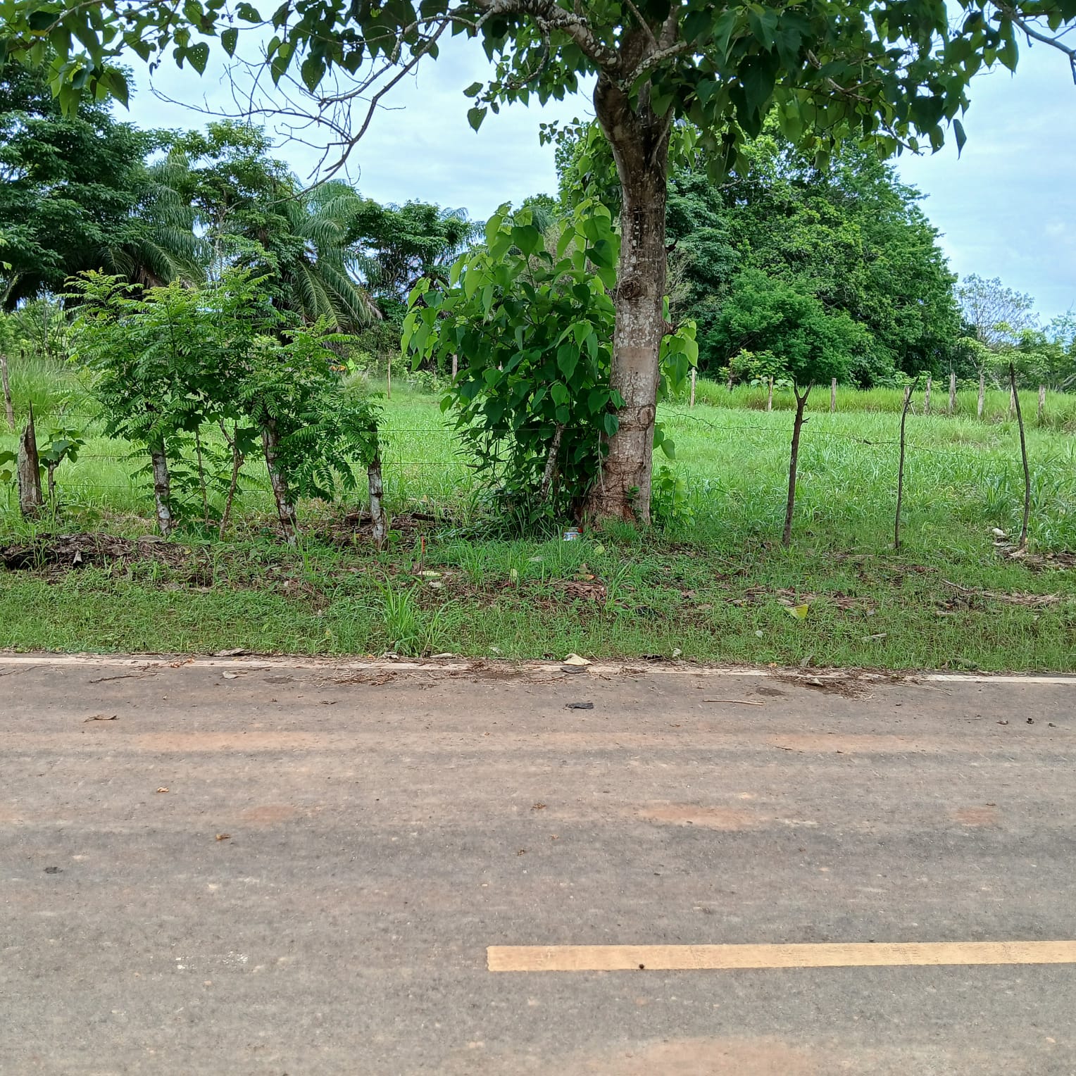 Buildable Lot in Central Pedasí – 450m² Option from Larger Parcel