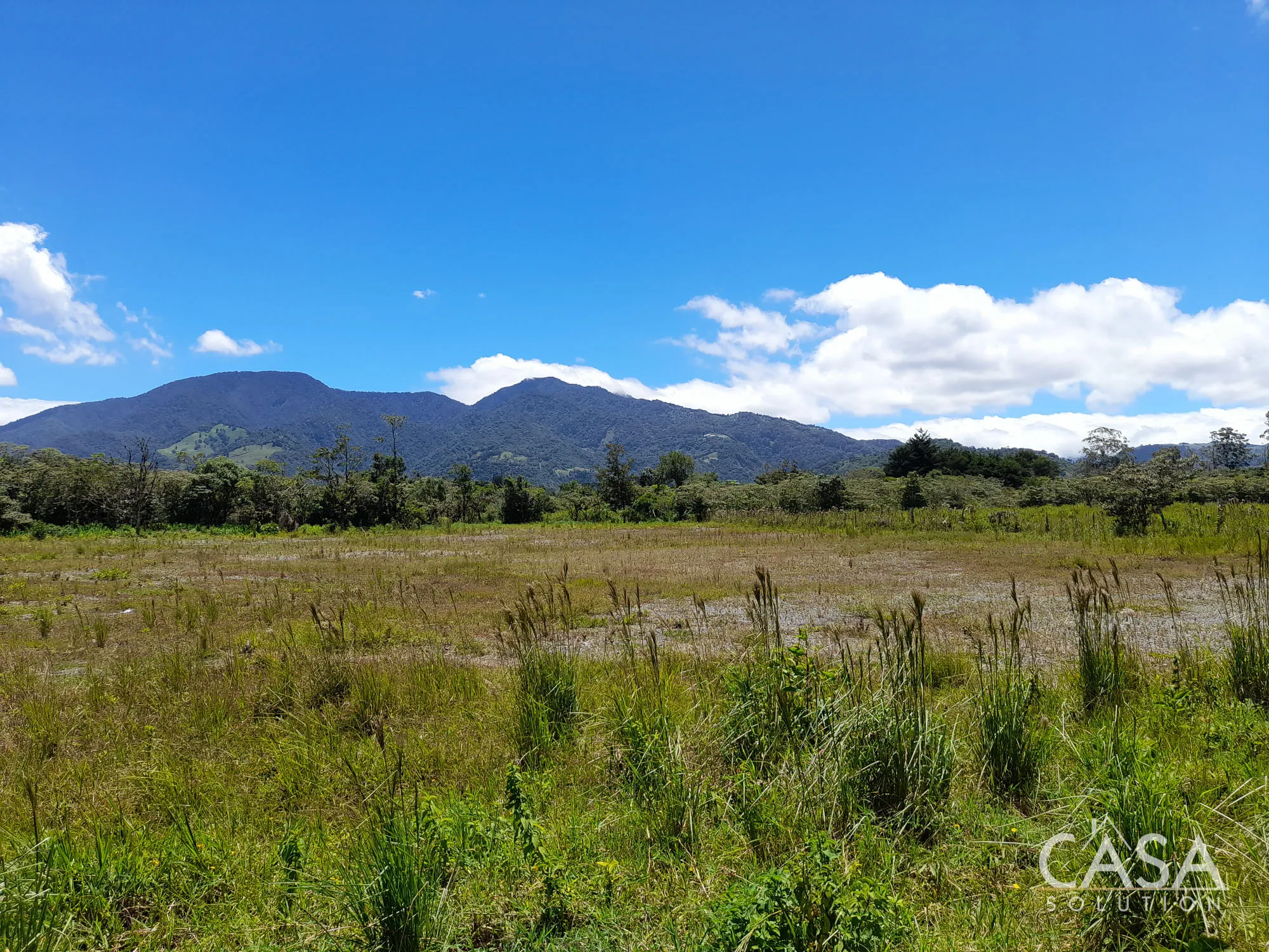Flat Road-Front Lot for Sale on the Via a Caisan, Nueva California, Tierras Altas, Chiriqui – 9,089 m² with Creek, Views & Access